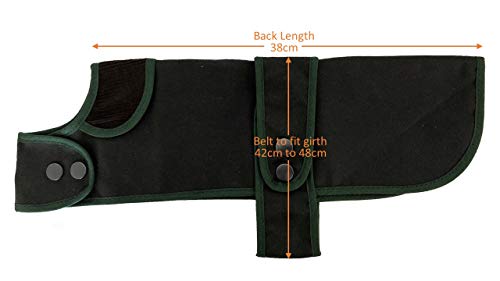 Cosipet Dackel-Jägermantel, 38 cm, Grün