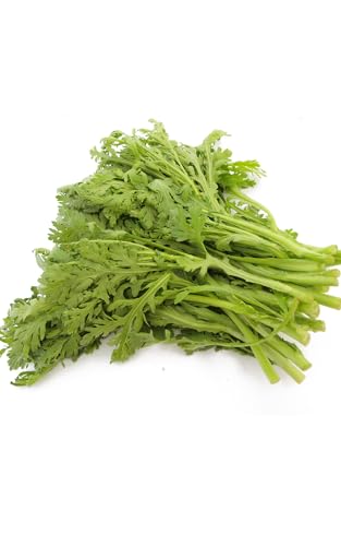 xW^un[g te 120gO×5 _͔| ޗǎY