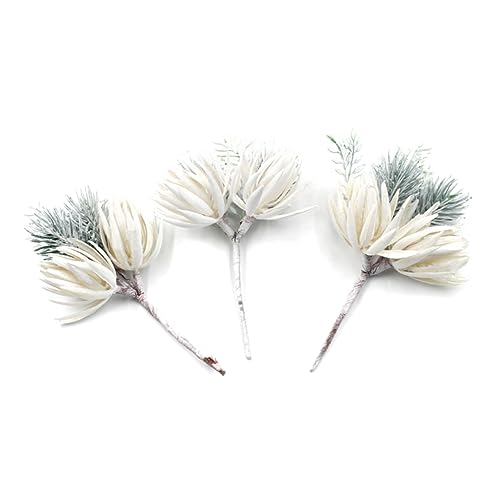 OUNONA 6 Ԃ̉ԑ lHA ԏ p[eB[̎ʐ^̏ tFCNt[AWg ̑ Ntg f Ƃ̑i I[ig lH̐A