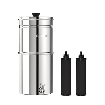 ICEPURE 2.25G Gravity-fed Water Filter System, 304 Stainless Steel Countertop System with Metal Faucet, 2 Black Carbon Filters, Reduce 99% Chlorine, Lead for Home, Camping, Travel, Emergencies