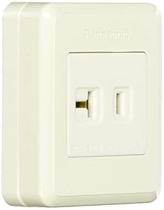 パナソニック(Panasonic) 露出コンセント WKS181