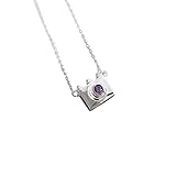 crayfomo Lindo collar colgante de cámara para mujeres, cadena de aleación de tono plateado con acento de cristal púrpura, joyería de moda delicada para amantes de la fotografía