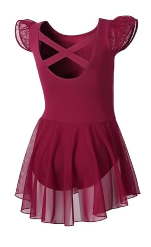 Image of DIPUG Ballet Leotards for Girls Ballet Leotard with Skirt Toddler Dance Leotards Flutter Sleeve and Criss-Cross Back