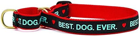 Up Country Dog Martingale Collar, Best Dog Ever Design, Size Large 18-23", 1" Wide