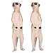 RiToEasysports 2Pcs Meerkat Model, Plastic Lifelike Cute High Stimulation Standing Animal Cognitive Figures Model Toys