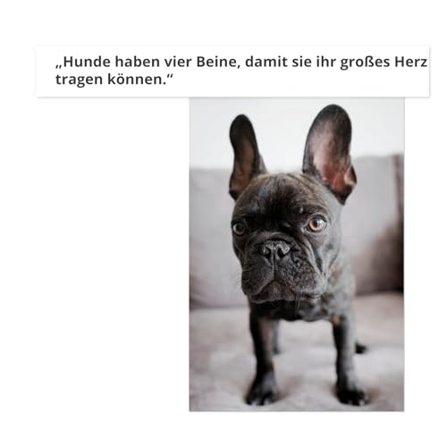 Hundeschild personalisiert – 30×20 cm – mit Foto & Wunschtext/Name – hochwertiger Druck, wetterfest & UV-beständig – Haustür, Zaun, Garten – individuelles Hunde-Schild für Endkunden
