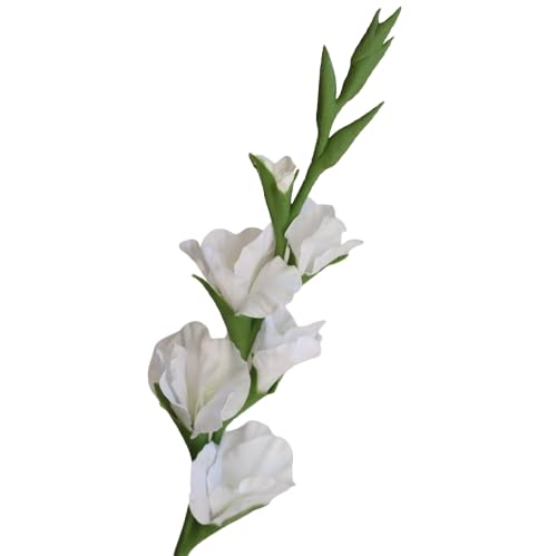 Gladiolo Natural Bulbo en Maceta para Exterior Planta Ornamental con Flores Vivas