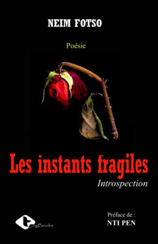 LES INSTANTS FRAGILES (French Edition)