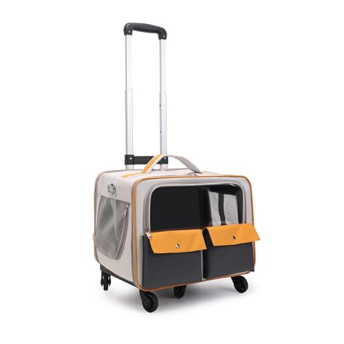 AOUTNLpobNpbNBʔ̃[[obOƎO\Ȏԗւtybgpxr[J[B (CG[)