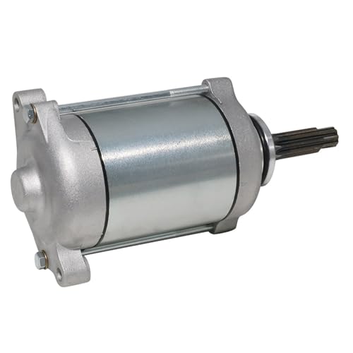 Für Suzuki XF650 Freewind 1997 1998 1999 2000 2001 DR650 DR650SE 1996-2015 2016 2017 2018 2019 LT-F500F QuadRunner 500 4WD Anlassermotor Motorradmotor, Teilenummer 31100-32E00, 31100-32E01