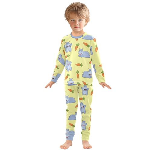 Pajama Sets Long Sleeve Happy Hippo and Carrots Soft Comfy Sleepwear 2 Piece PJS 3-8T2