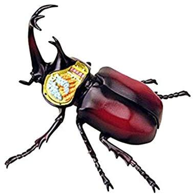 Anatomisches Modelltier, Hirschkäferorgan, Anatomisches Modell - Didaktisches Modell für biologische Insekten in 21 Teilen