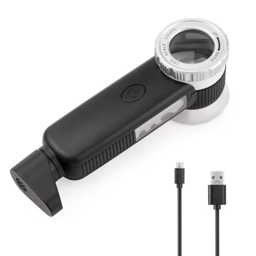 How to Get the Best Coin Appraisal for Your Collection