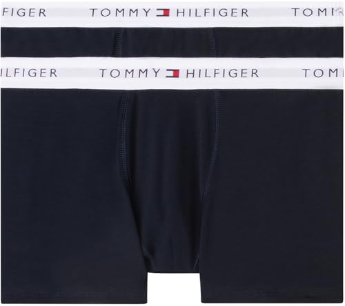 Tommy Hilfiger Calzoncillos bóxer Chicos Pack de 2 Trunks con Logotipo en la Cintura, Azul (Desert Sky/Desert Sky), 10-12 Años