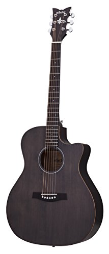 Best Schecter Acoustic Guitars