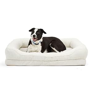 EveryYay by Petco Snooze Fest Orthopedic Cuddler Dog Bed 40″ L X 30″ W