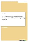 rwe buch  RWE. Analysis of the Human Resource Practices of one of Europe\'s leading energy suppliers
