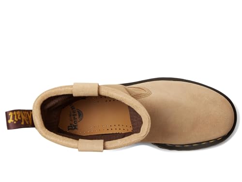 Dr. Martens Unisex-Adult Anistone Lo Leather Boots Fashion2