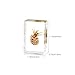 4Pcs Insect in Resin Specimen, Bug Preserved Specimen Collection Paperweights Resin Insects Various Insect Specimen for Office Office School Biology Science Teacher Education (Sea Animal)