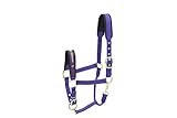 Kieffer Cabezada de cuadra Nylon COLLECTION, Púrpura, Pony