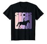 Geburtstagsshirt Pferde Mädchen Reiterin Pony Fans
