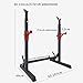Adjustable Squat Rack, Max Load 300kg, Weight Bench Support for Home Gym, Barbell Press, Bench Press, Power Lifting Stand