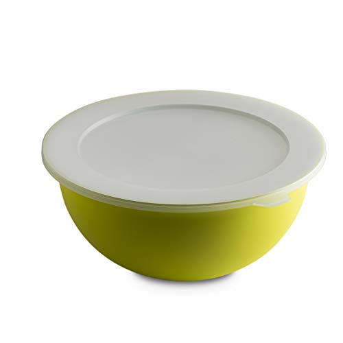 Omada Design Tazòn de 3.5 lt + tapa, diámetro 26 cm, blanco por dentro y coloreado por fuera, en polipropileno y antibacteriano, Sanaliving