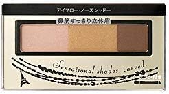 資生堂 インテグレート アイブロー＆ノーズシャドー BR731 2.5g