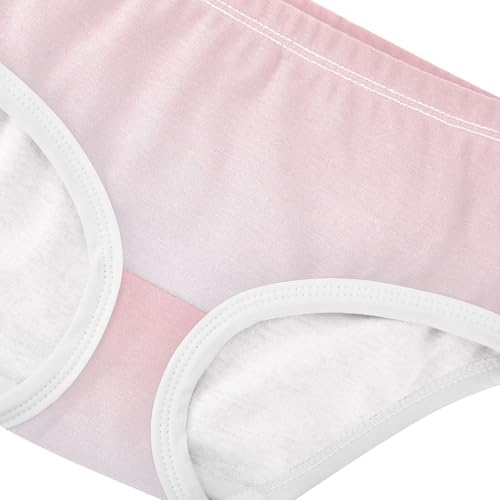 Joisal Cotton Toddler Underwear Floral Blush Pink Alice Blue Gradient Little Girl Panties Colorful Underpants Briefs 2t4