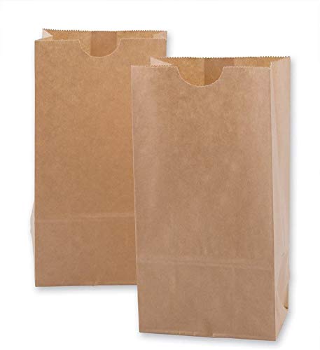 Pizety 06 Recycled Kraft Paper Bags 6 Lb 500 Brown Paper Lunch Bags 6 Lb Brown Paper Sacks Lunch Sandwich Brown Paper Bags 6 Pound Lunch Bags thumb #7