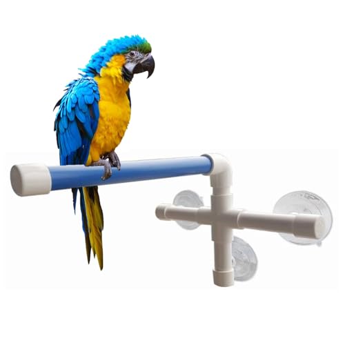 Percas plegables con ventosa para pájaros, soporte para loros, juguete para mascotas, accesorios para mascotas