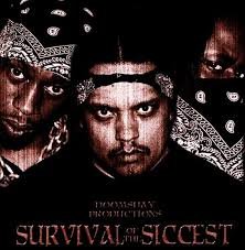 Survival of The Siccest