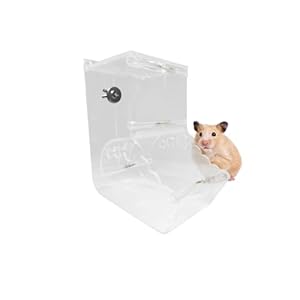 BenePoint Automatic Hamster Feeder, Clear Acrylic Automatic Pet Feeder Pet Food Dispenser, Hamster Food Bowl Guinea Pig Food Dispenser for Small Animal Feeding & Watering Supplies (L)