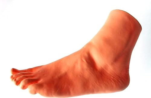 [JJbN] ̖͌^   ͌^ }lL ifBXvC GXe e G惂f U Bep wp Kf (/)