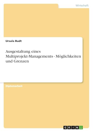 Leitfaden für die Umsetzung von Multiprojekt-Management. Möglichkeiten und Grenzen. (German Edition)