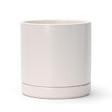 D’vine Dev 8.2in Planter
