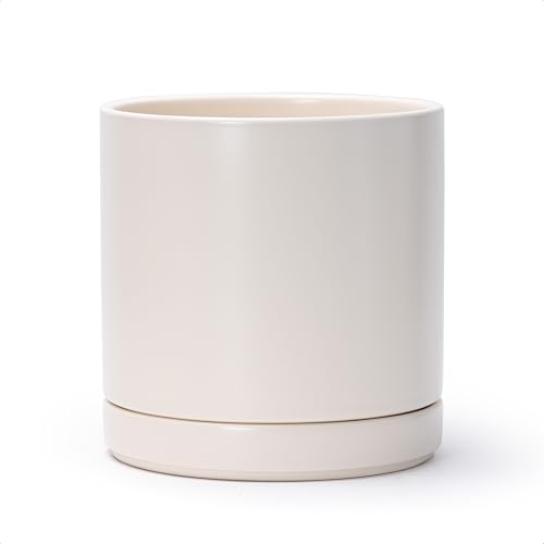D'vine Dev 8.2 Inch Ceramic Planter Pot with Drainage