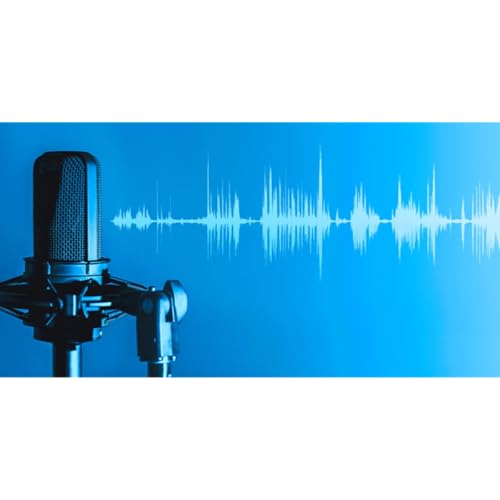 Couverture de The PTHV Podcast