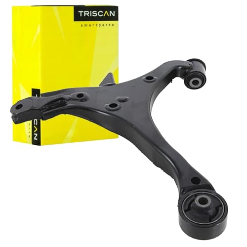 Triscan 8500 40538 Bras de liaison suspension de roue triangle de train arriere
