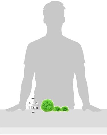 biOrb Aquatic Topiary Pack