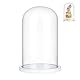 nbeads Glas-Display-Cloche-Kuppel, Dekorative Glaskuppelabdeckung Durchsichtige Glockenglas-Vitrine Mit Weißem Holzsockel Für Sammlerstücke Rose Büro Zuhause Tischdekoration, 15x25.5cm