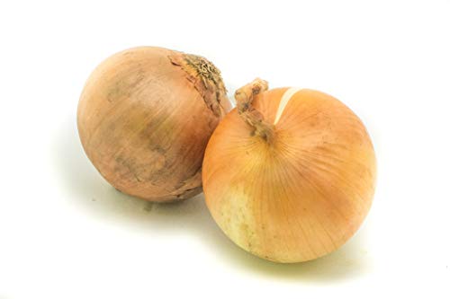 Fresh Produce Yellow Onion 500g