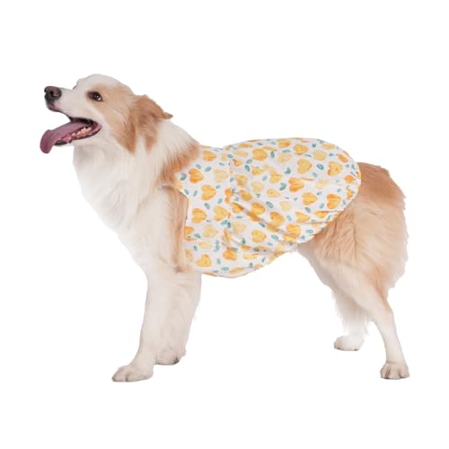 Robe de princesse pour chien en coton de qualité supérieure taille 4XL - 2