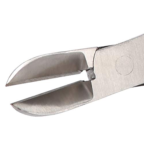 Jadpes Pig Piglet Teeth Clipper Pinzette, Edelstahl Zahnschneider Schere für Hund Ferkel Elbow Clipper Pinzette mit Pig Catcher für Paparazzi Elbow Shrapnel und Pig Catcher(14cm)