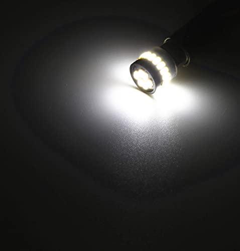 Luyed 5 X Super Bright 3014 24-Ex Chipsets Ba9 Ba9S 53 57 1895 64111 Led Bulbs Used For Side Door Courtesy Lights Map Lights,Xenon White #TOP6
