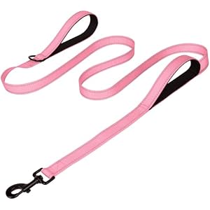 Joytale Dog Leash for Large Dogs that Pull, Double Handle, 5FT, Pink | Traffic Handle for Control, Padded Handle Reduces Hand Strain, Reflective Stitching for Night Safety, Strong Nylon Webb