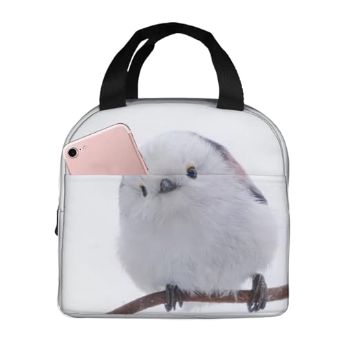 `obO V}GiK  ۗ ۉ ٓobO  RpNg O|Pbgt ~jg[gobO p肳obO fB[X Y ʋ ʊw s fB[X Y qp