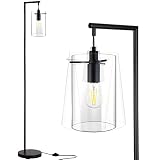 RORIANO Industrial Floor Lamp, Modern Standing Lamp with Hanging Clear Glass Shade, Farmhouse Rustic