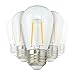 American Lighting 02345 - S14-LEDF-120-30K Sign Scoreboard LED Light Bulb