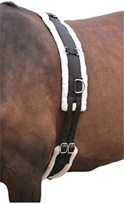 ShiresEquestrian Nylon Lunging Roller with Fleece Padding
